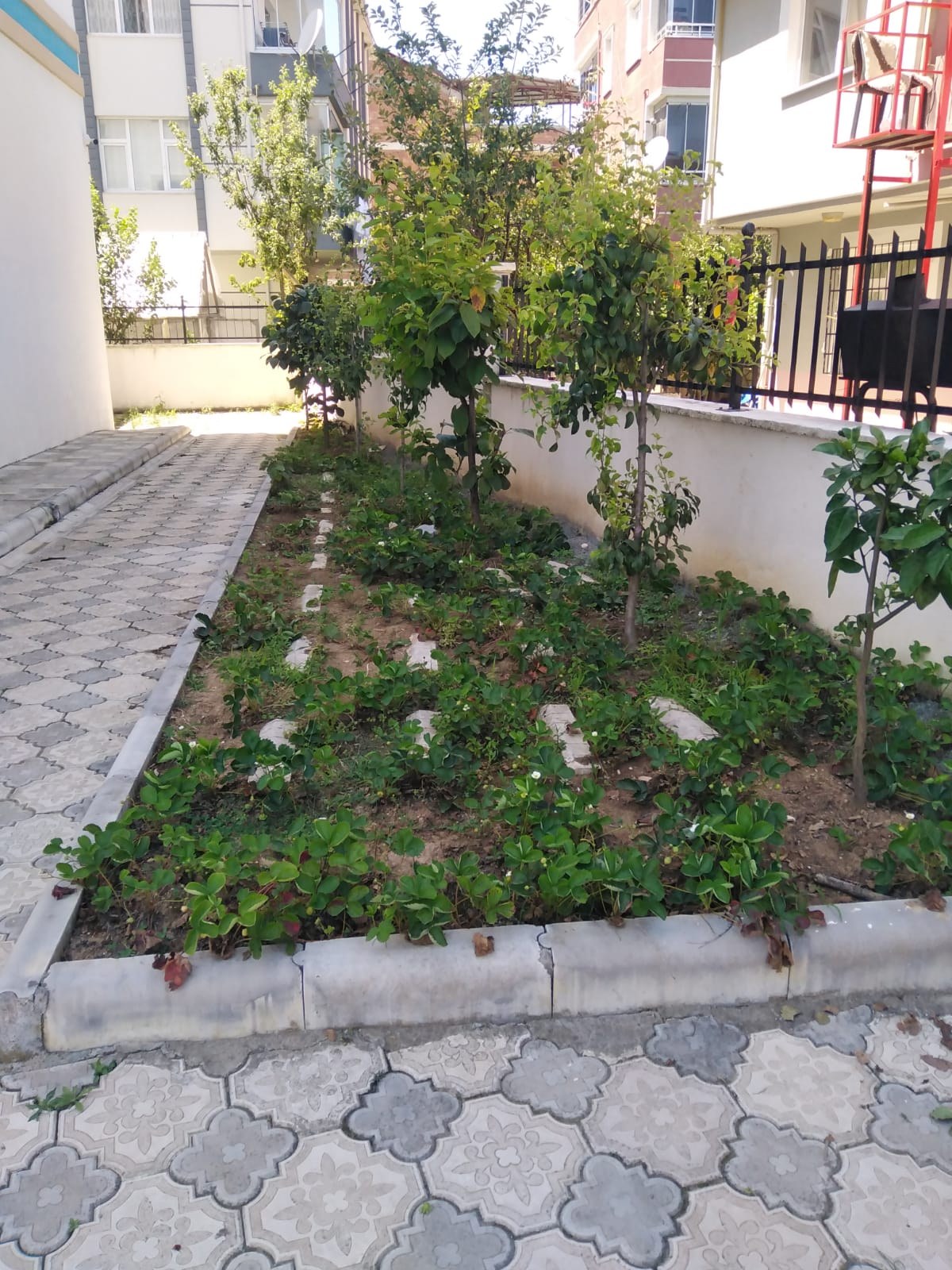 Hobi ve Doğa Alanı